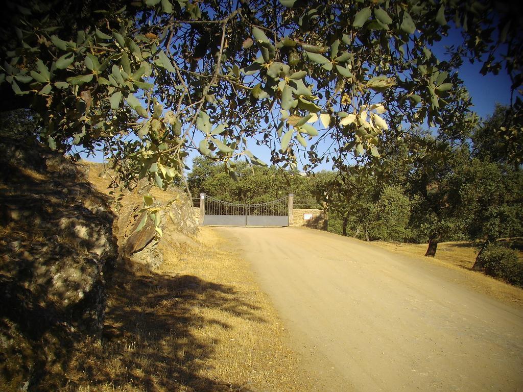 El Anadio