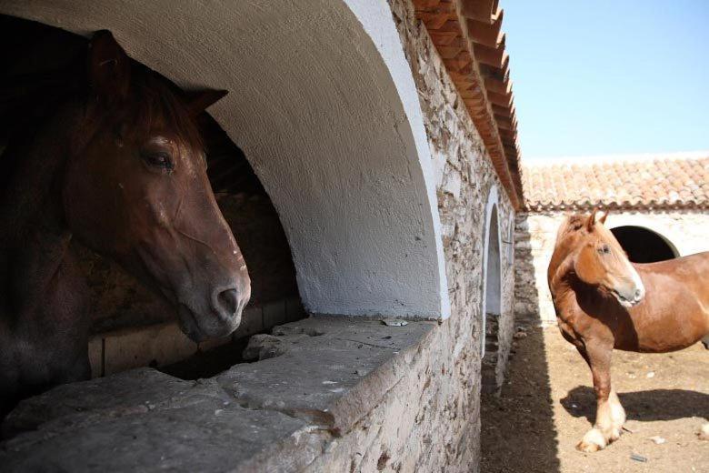 El Añadío 3*