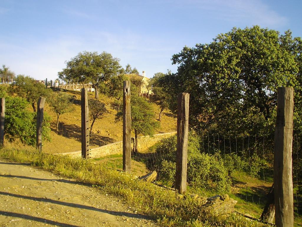 El Anadio Pensión